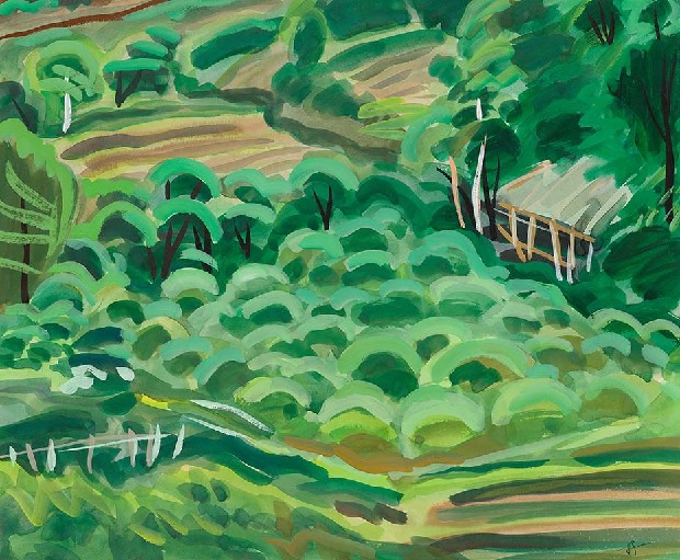 藏品:後菜園的(1)張圖片