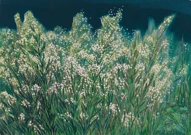 藏品:草的(1)張圖片