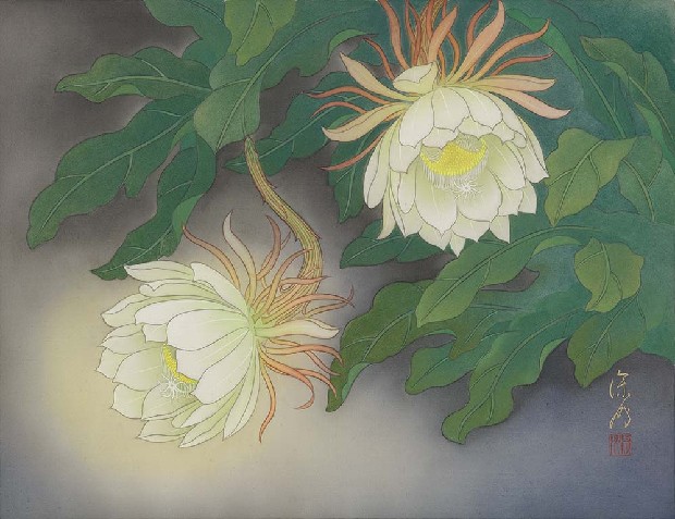 藏品:月下美人的(1)張圖片