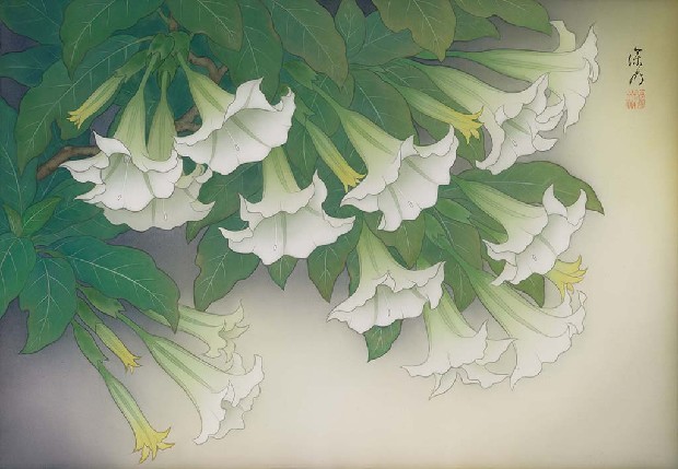 藏品:萬桃花的(1)張圖片