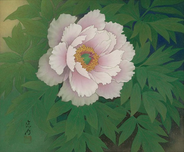 藏品:牡丹花的(1)張圖片