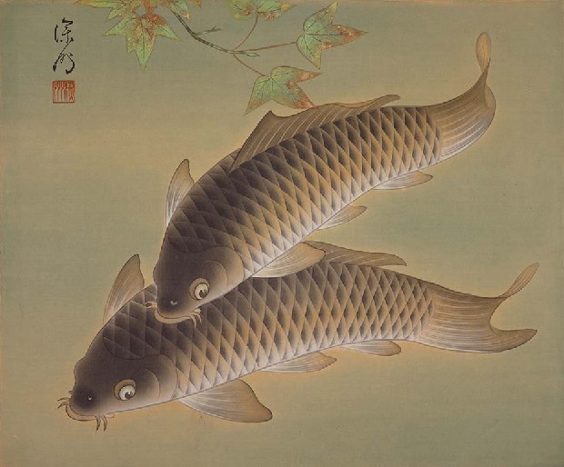 藏品:魚的(1)張圖片