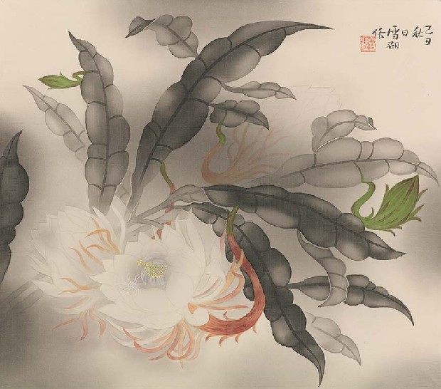 藏品:月下美人的(1)張圖片