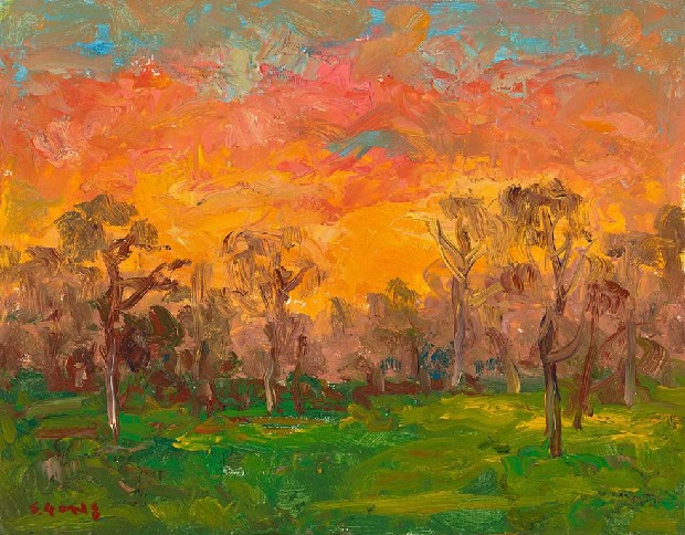 藏品:夕陽的(1)張圖片