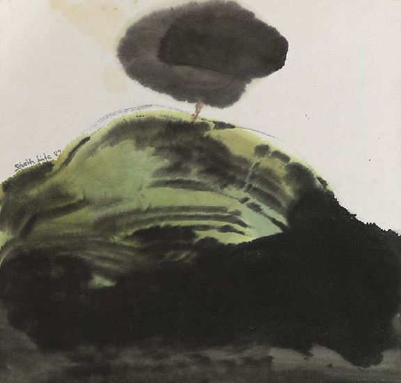 藏品:山上的一棵樹的(5)張圖片