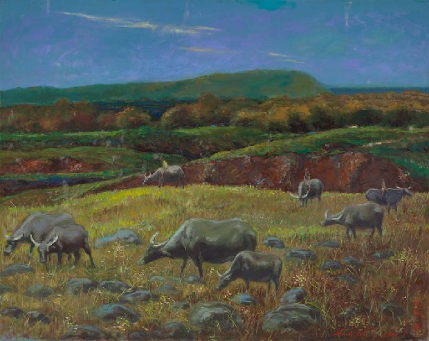 藏品:水牛群的(1)張圖片