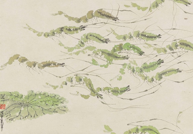 藏品:蝦的(1)張圖片