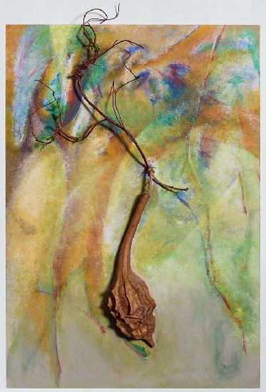 藏品:藍天綠地的(1)張圖片