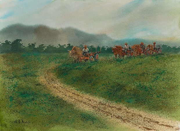 藏品:鄉村牛車的(1)張圖片