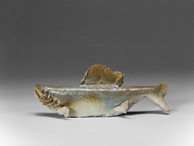 藏品:魚的(1)張圖片