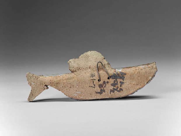 藏品:魚的(4)張圖片