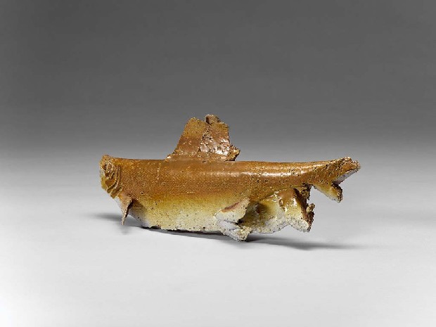 藏品:魚的(3)張圖片