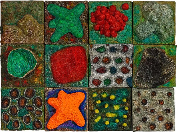 藏品:深海世界的(1)張圖片