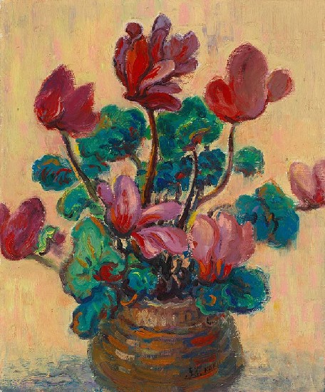 藏品:花(1)的(1)張圖片