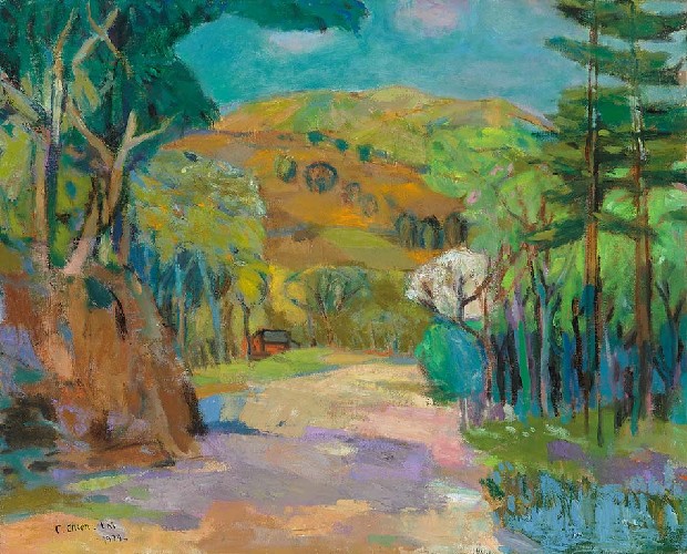 藏品:村路的(1)張圖片