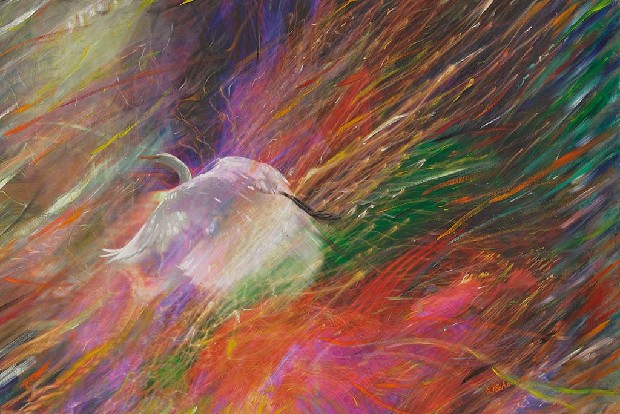 藏品:光之系列之一的(1)張圖片