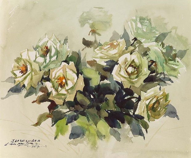 藏品:白玫瑰的(1)張圖片