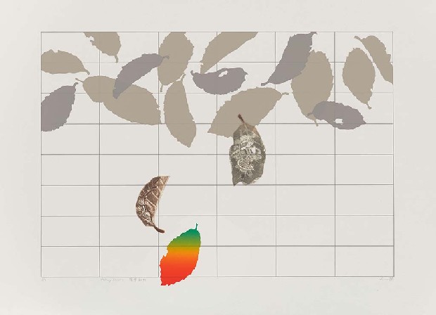 藏品:落葉知秋的(1)張圖片