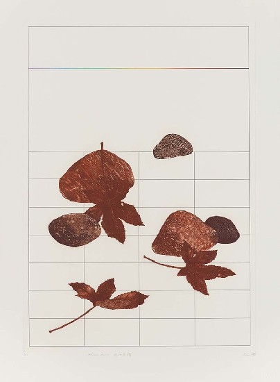 藏品:晚秋晨曦的(1)張圖片