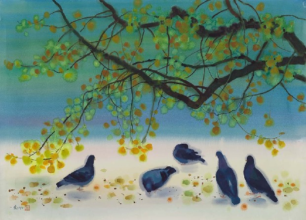 藏品:鴿的(1)張圖片