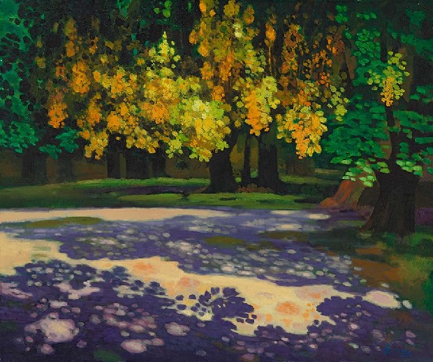 藏品:森林的(1)張圖片