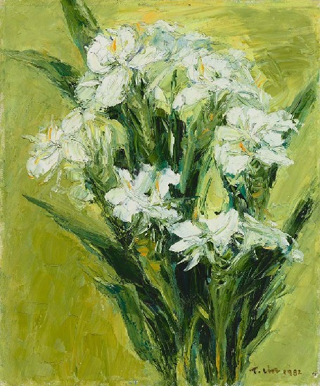 藏品:野薑花的(1)張圖片