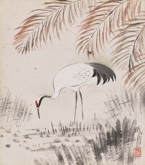 藏品:鶴的(1)張圖片