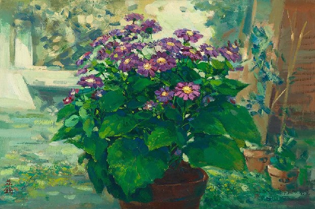 一盆花的焦點圖