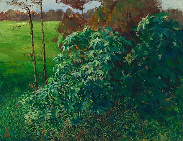 風景(樹景)的焦點圖