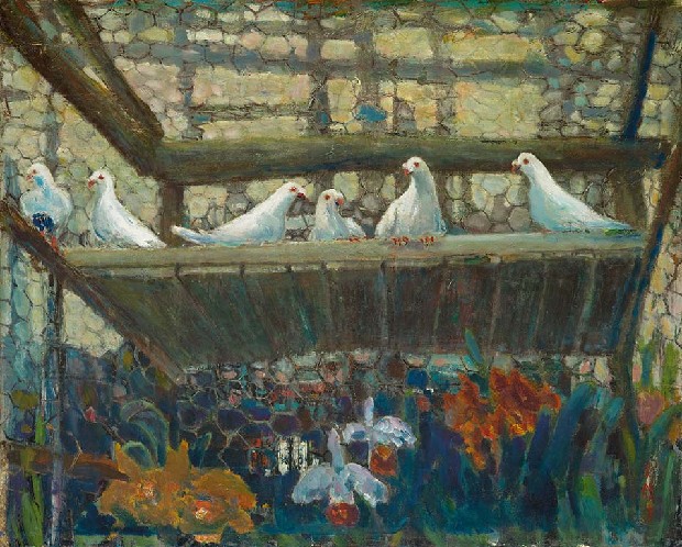 藏品:鴿子籠的(1)張圖片