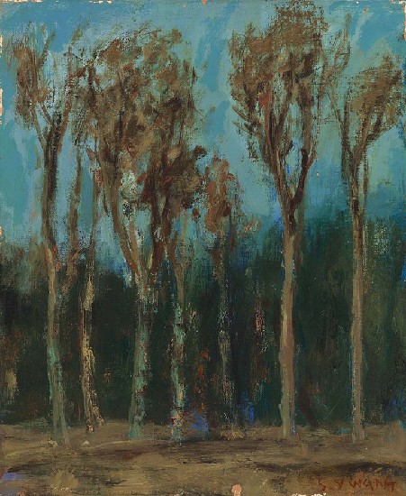 藏品:樹的(1)張圖片