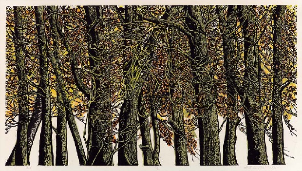藏品:樹林的(1)張圖片