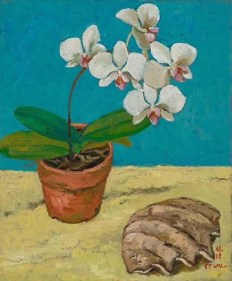 藏品:蝴蝶花的(1)張圖片