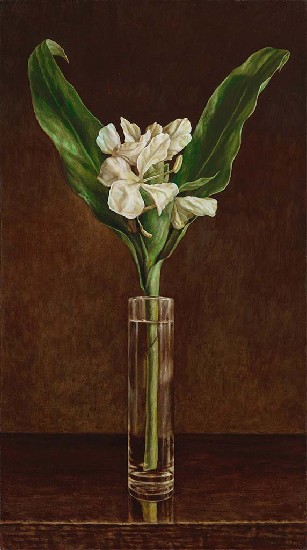 藏品:野薑花(靜物)的(1)張圖片