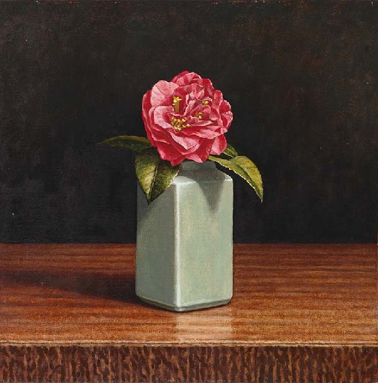 藏品:紅茶花的(1)張圖片