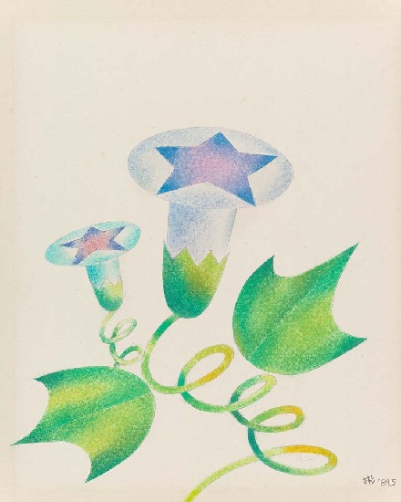 藏品:牽牛花的(1)張圖片