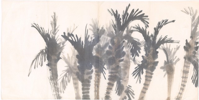 藏品:樹的(1)張圖片