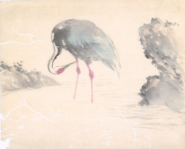 藏品:灰鶴的(1)張圖片