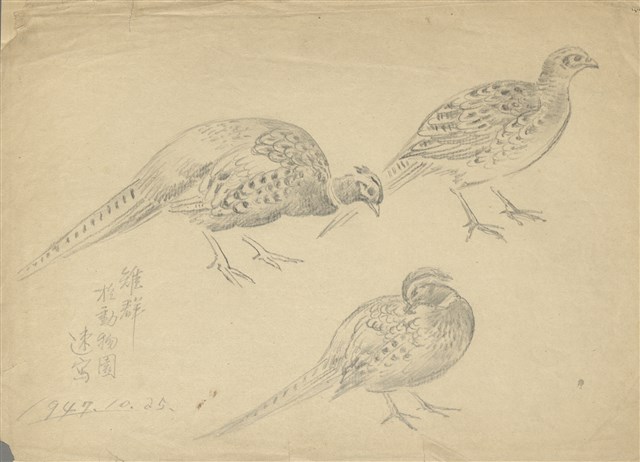 藏品:(1)雉群；(2)雞的(1)張圖片