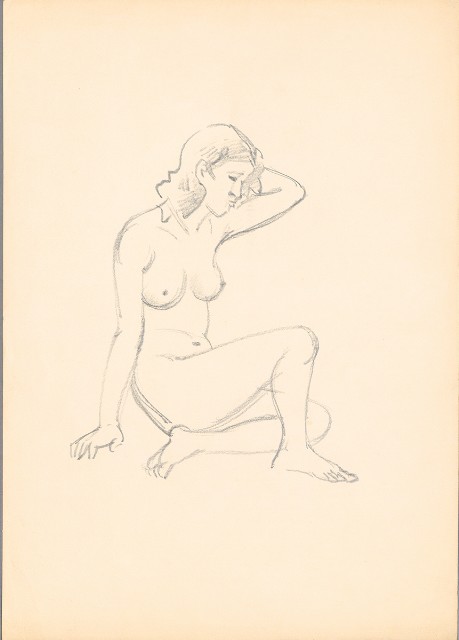 藏品:(1)鸚鵡；(2)模特兒的(3)張圖片