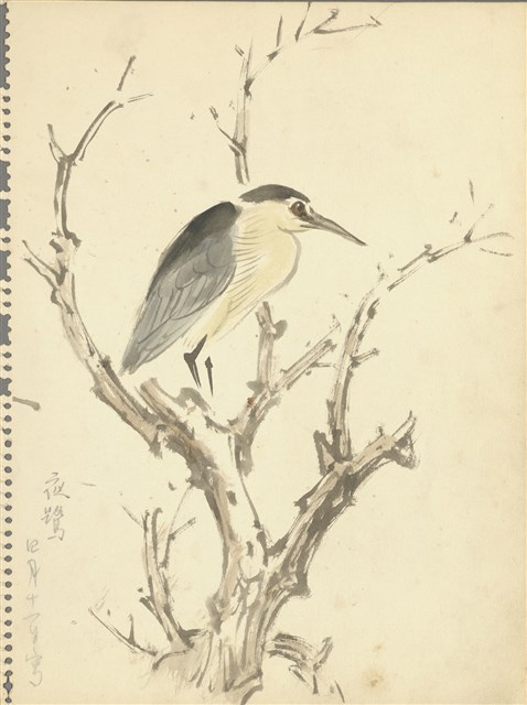 藏品:(1)夜鷺；(2)黃金山貓、猴子的(1)張圖片