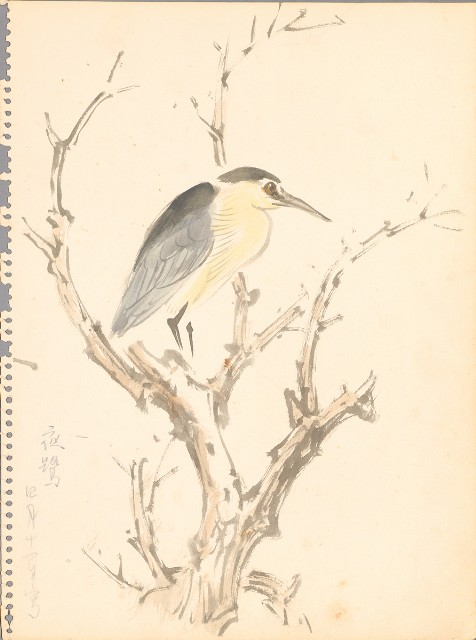 藏品:(1)夜鷺；(2)黃金山貓、猴子的(2)張圖片