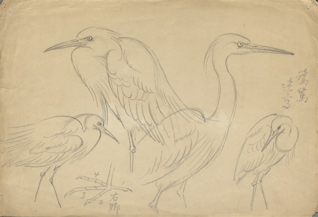 藏品:(1)鷺鷥；(2)野鴨的(1)張圖片