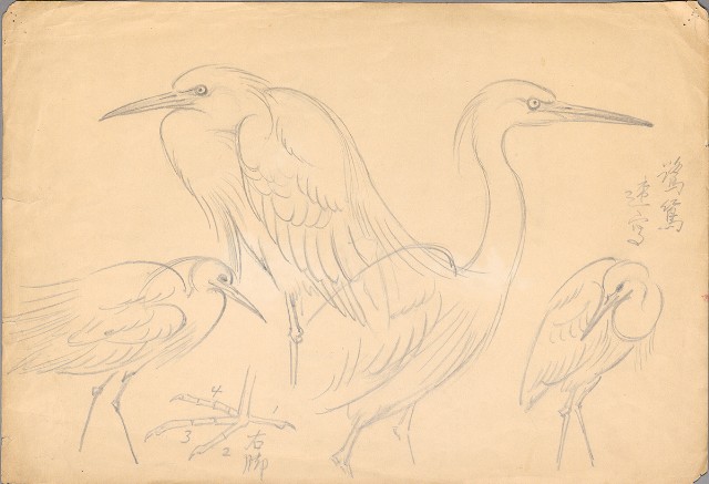 藏品:(1)鷺鷥；(2)野鴨的(2)張圖片