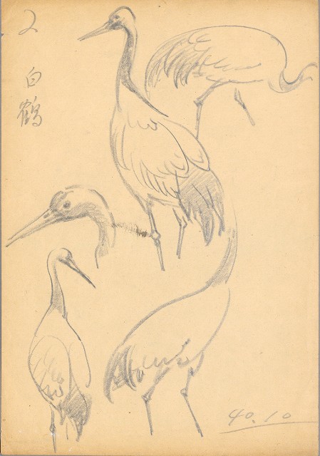 藏品:(1)鶴；(2)白鶴的(3)張圖片