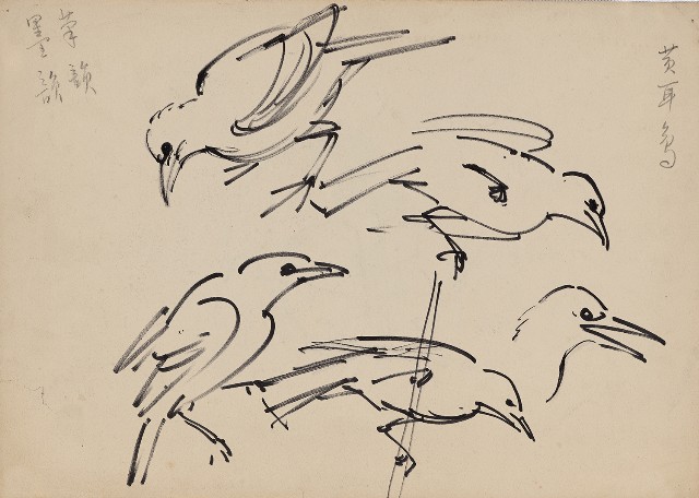 藏品:(1)黃耳鳥；(2)猴子的(1)張圖片