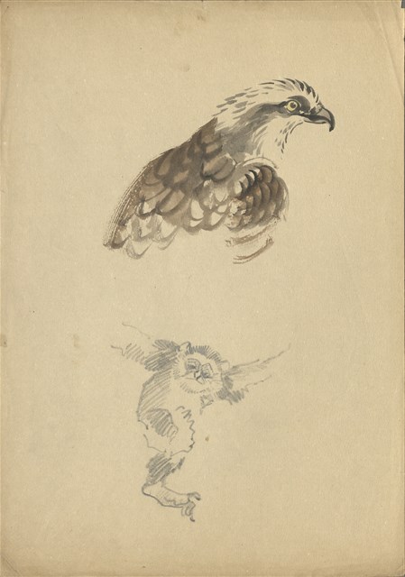 藏品:(1)鷹頭、猴；(2)水車的(1)張圖片