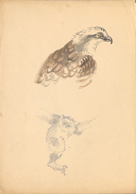 藏品:(1)鷹頭、猴；(2)水車的(2)張圖片