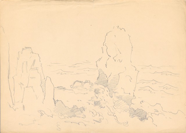 藏品:岸邊(綠島)的(1)張圖片