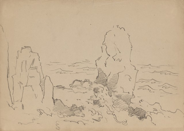 藏品:岸邊(綠島)的(1)張圖片